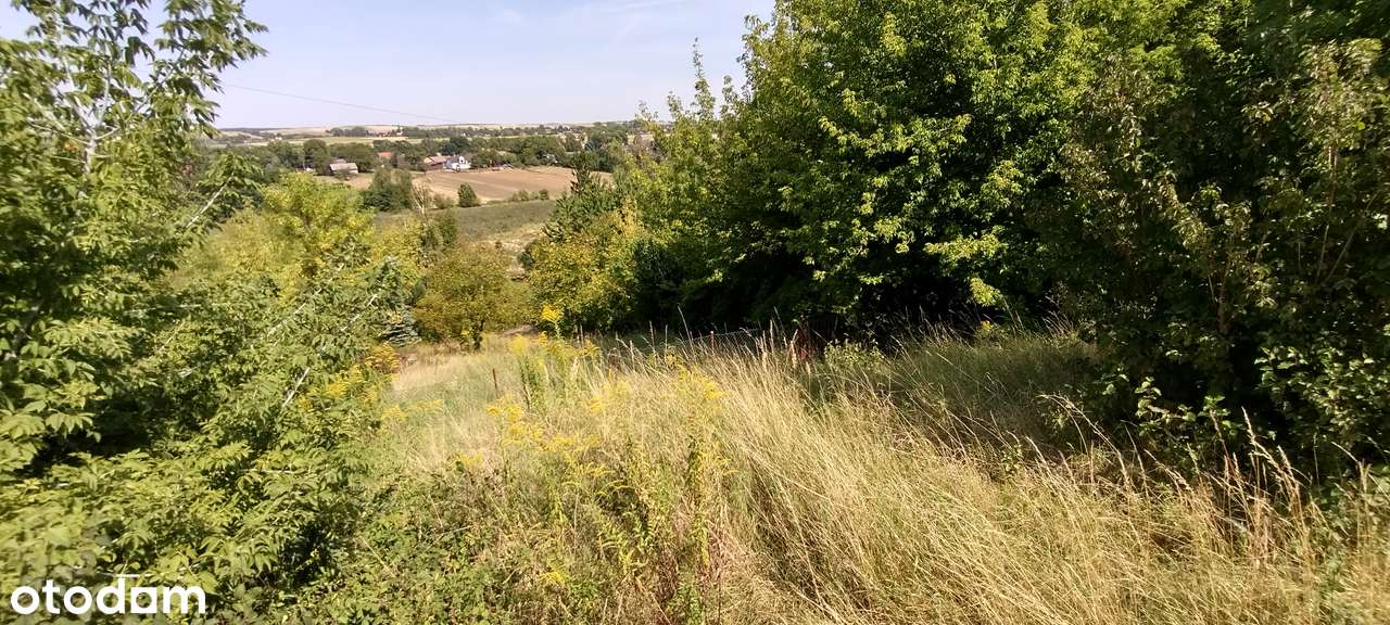 Działka budowlana Prandocin-Wysiołek-6