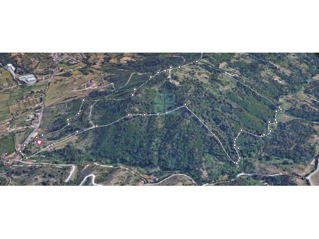 Quinta com 435.487 m2 na Serra da Arrábida, em Palmela, Setúbal-41