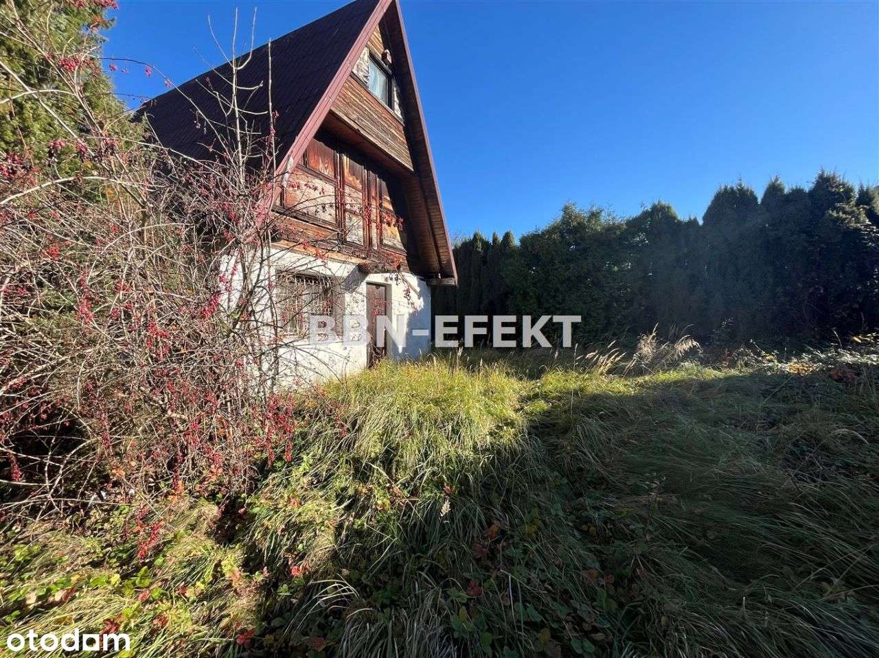 Bielsko-Biała ul. Wierchowa - Pełny obrazek: 5/9