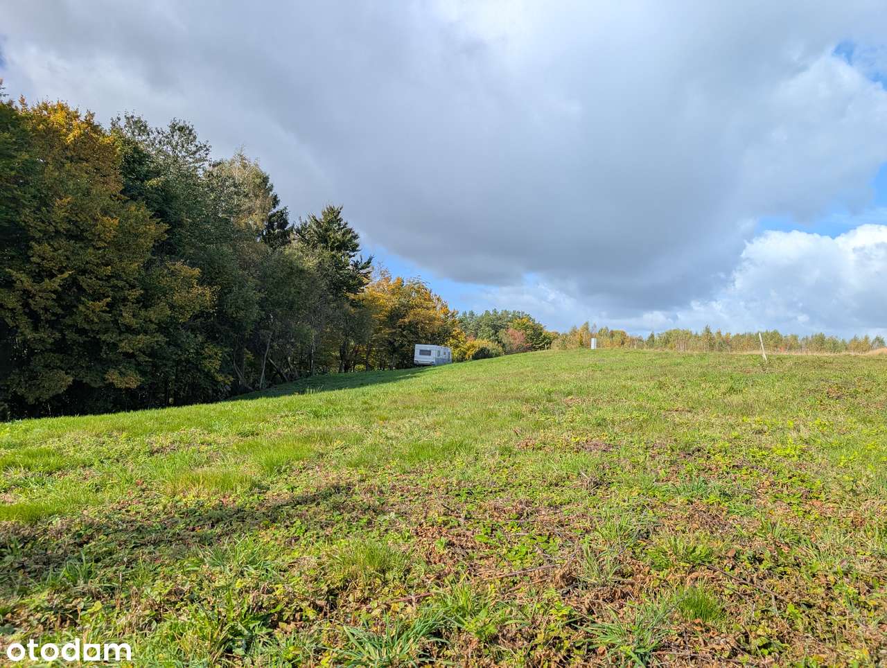 Działka z lasem nad jeziorem, Kaszuby - Pełny obrazek: 5/12