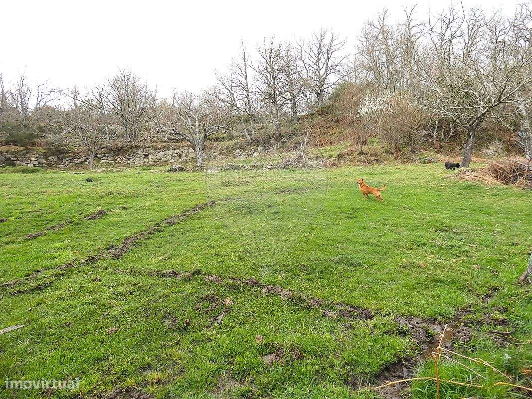 Terreno  para venda - Grande imagem: 4/23