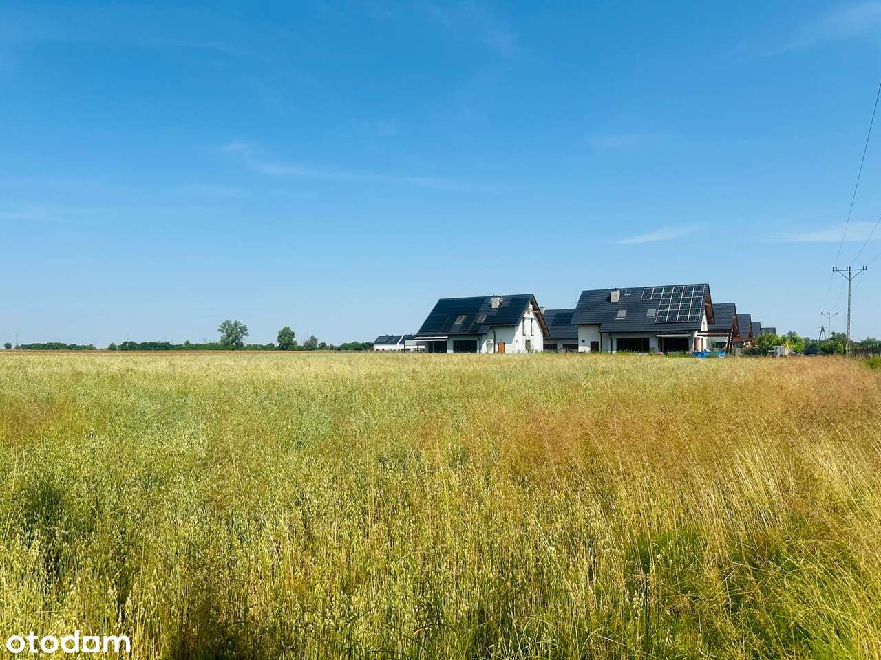 działka budowlana  z mediami pod lasem - Pełny obrazek: 5/12