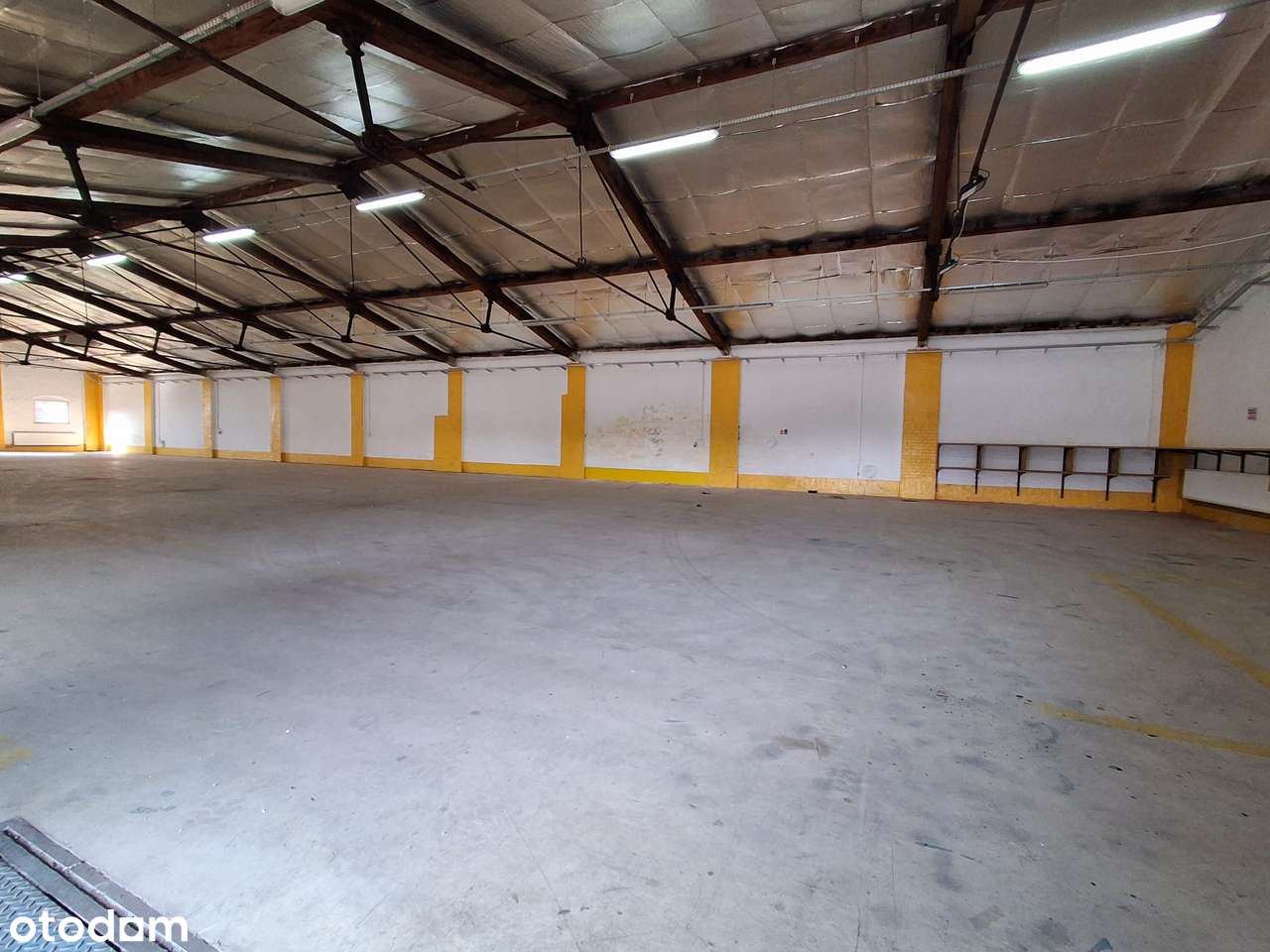 NA SPRZEDAŻ| HALA|MAGAZYN|738m2| LEWIN BRZESKI - Pełny obrazek: 4/16