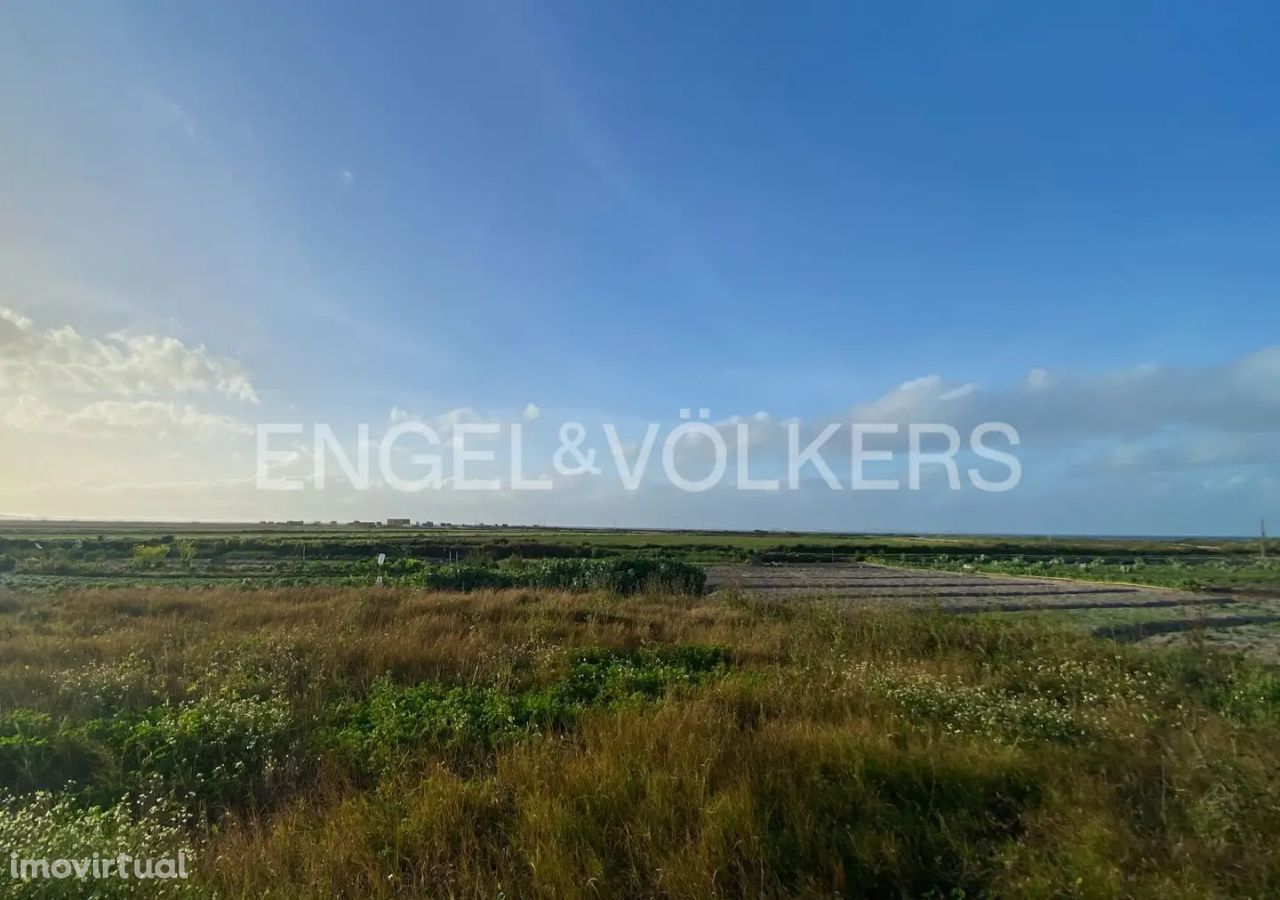 Terreno com vista arrozais na Comporta