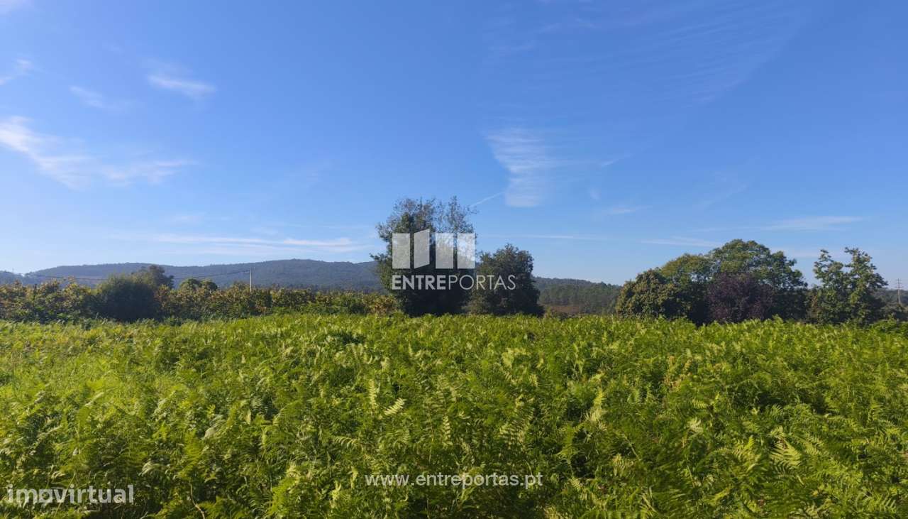 Venda de Terreno para construção, Deocriste, Viana do Castelo - Grande imagem: 3/26