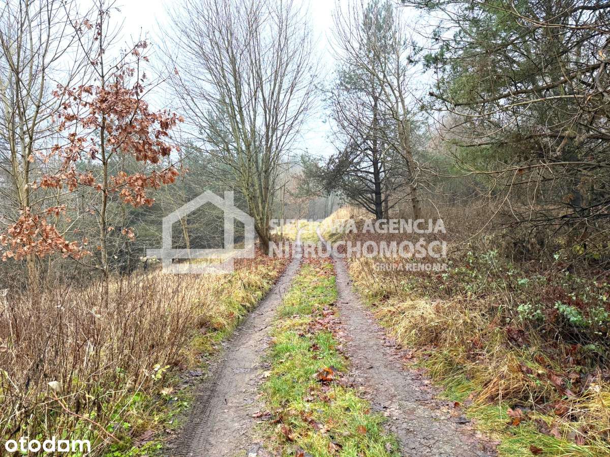 Okazja! ponad 5 ha w Brodnicy Górnej - 25 zł/m2 - Pełny obrazek: 5/8