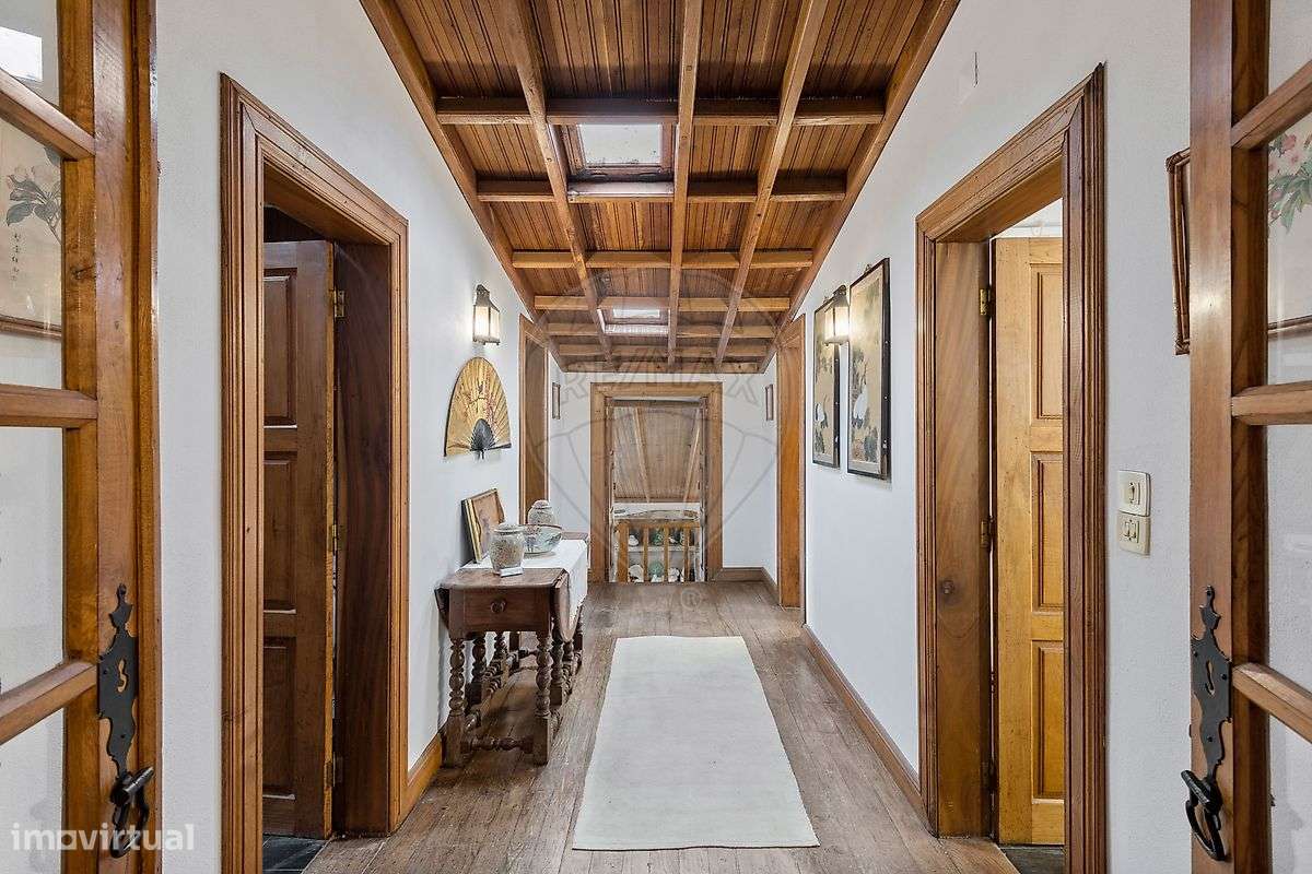 Solar T8 para venda-10