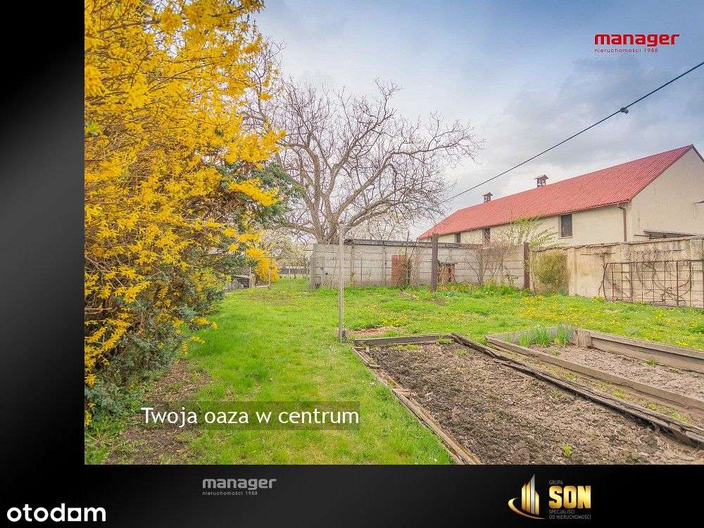 Twoja oaza w centrum - Pełny obrazek: 4/13
