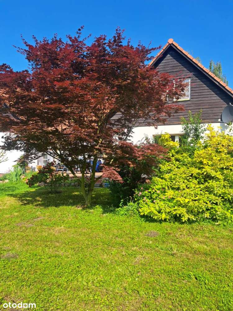 Dom z piękną działką, dojazd - 10 minut pociągiem od Wrocławia-16