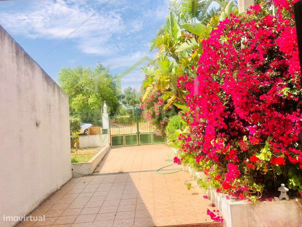 Moradia de Campo T5 com Piscina de Água Salgada e Terreno, Tunes-20