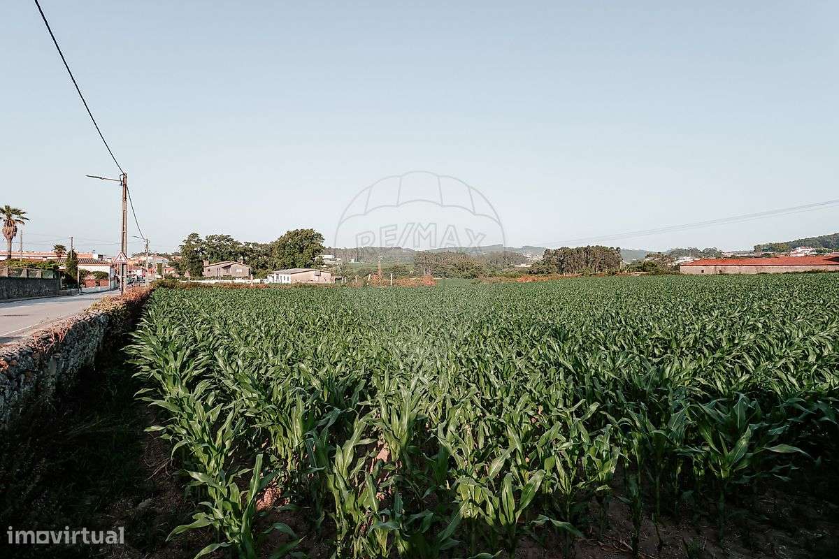 Terreno  para venda - Grande imagem: 5/8