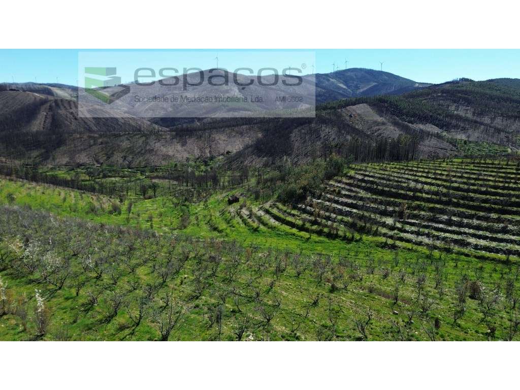 Terreno - Grande imagem: 4/25