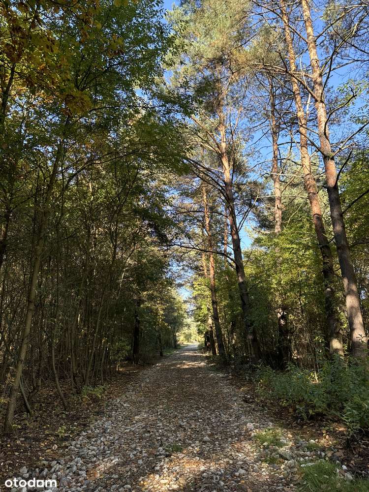 Do Parku Chojnowskiego 400 m, blisko do pociągu-13