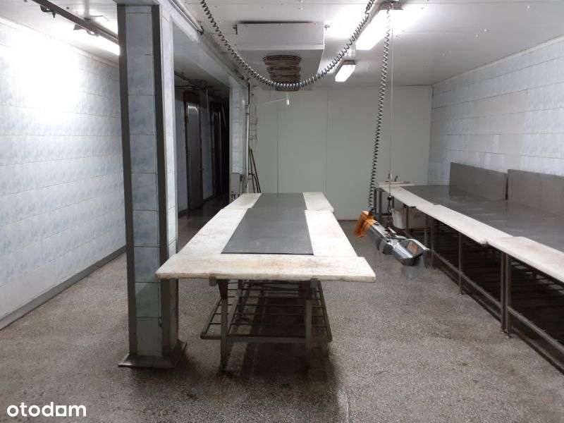 Funkcjonująca ubojnia trzody i bydła z możliwością rozbudowy - Pełny obrazek: 4/7