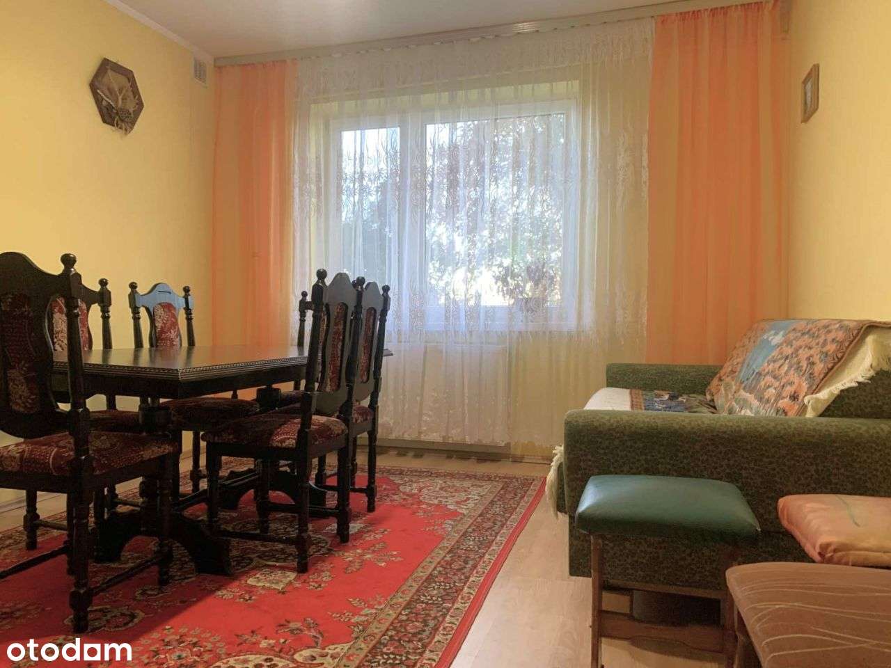 na sprzedaż siedlisko Ladorudz pow Koło-18