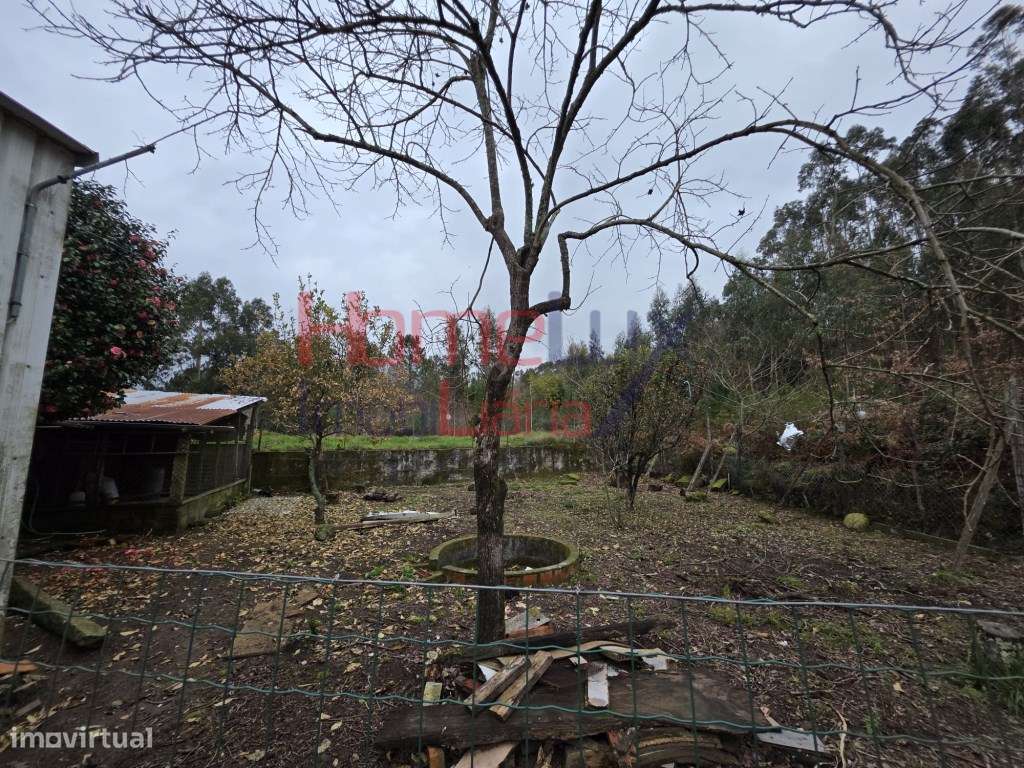 Moradia com terreno para venda em Sever do Vouga-5
