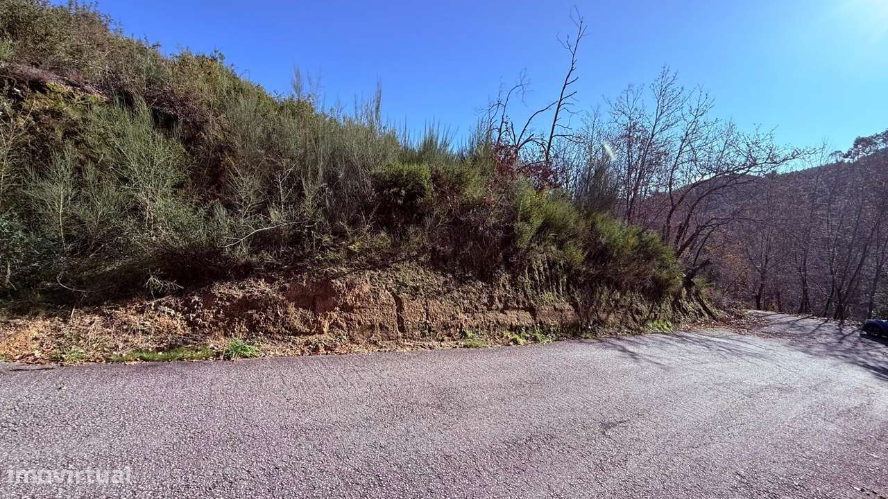 Terreno em Veade, Gagos e Molares-5