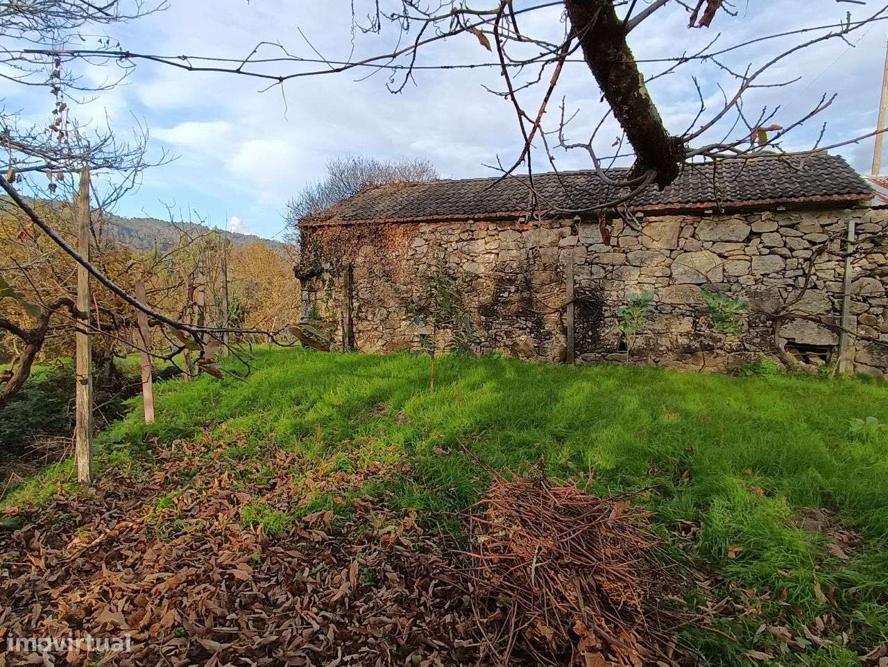 Moradia em granito – Oliveira de Frades - Grande imagem: 5/13