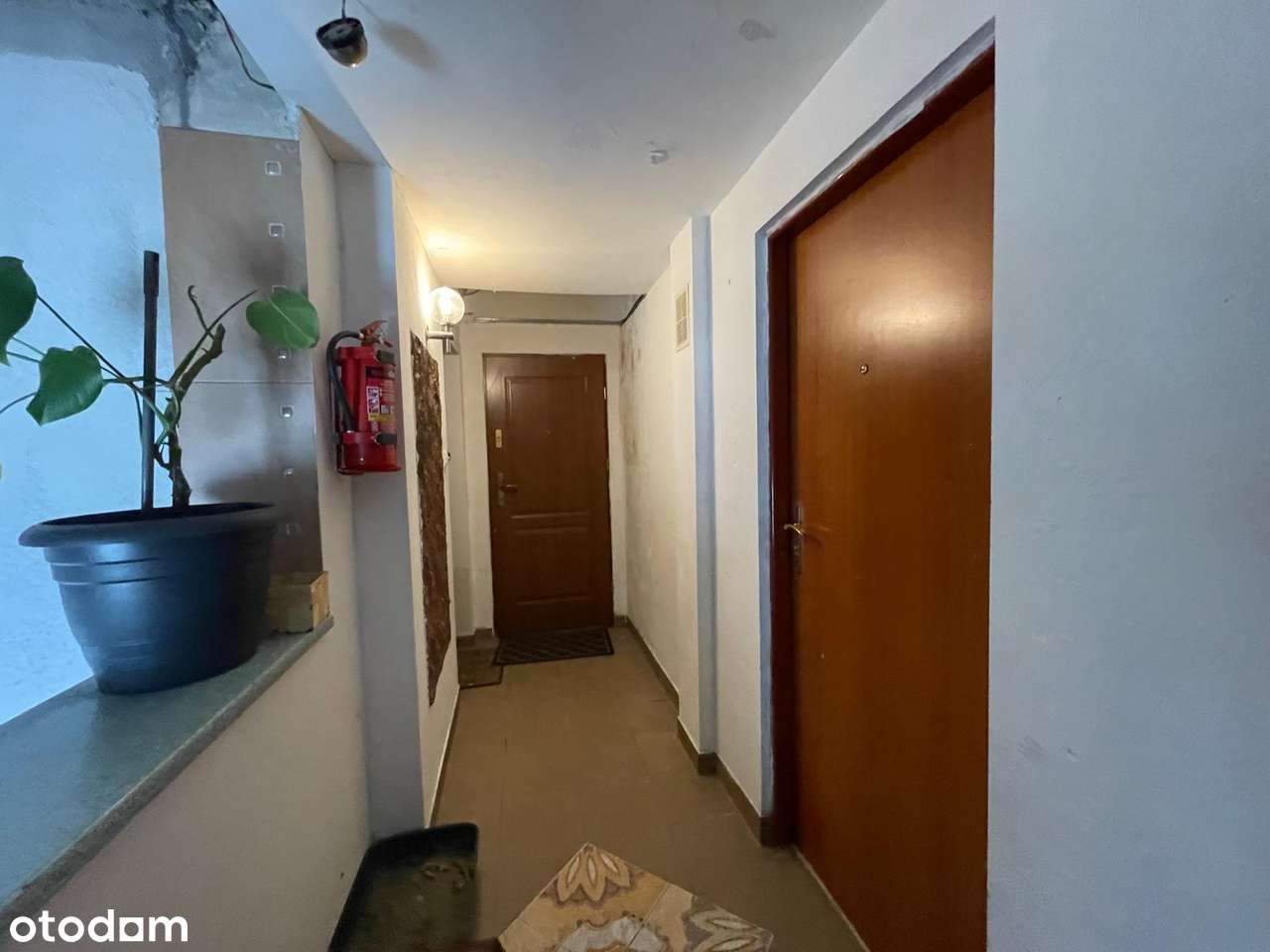 DOM + Budynek Mieszkalno-Usługowy – ul. Brzozowa, Koszalin-10