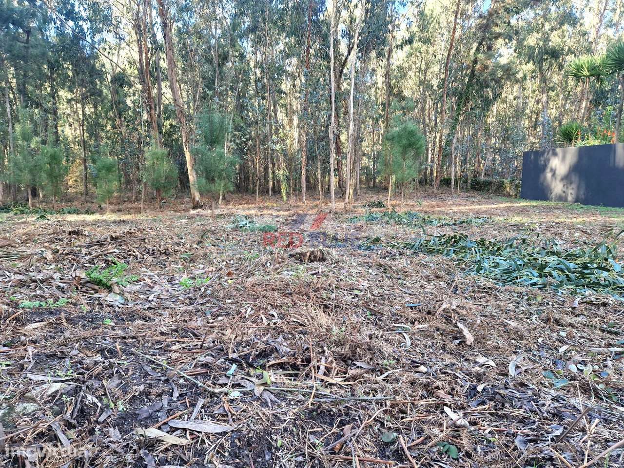 TERRENO PARA CONSTRUÇÃO, NEGREIROS, BARCELOS-6