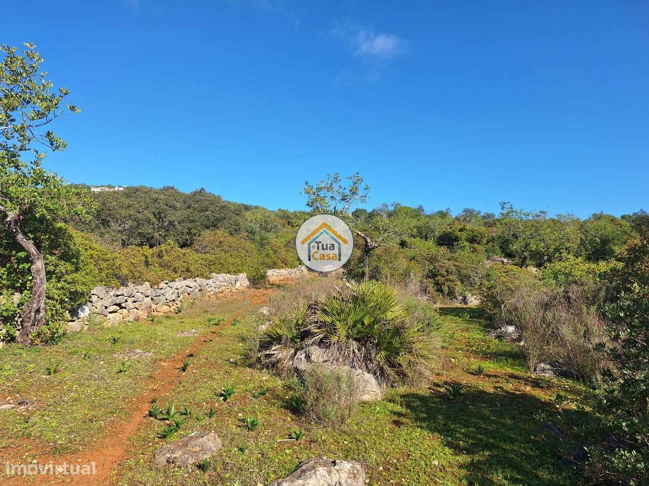 Terreno rústico - Grande imagem: 2/15