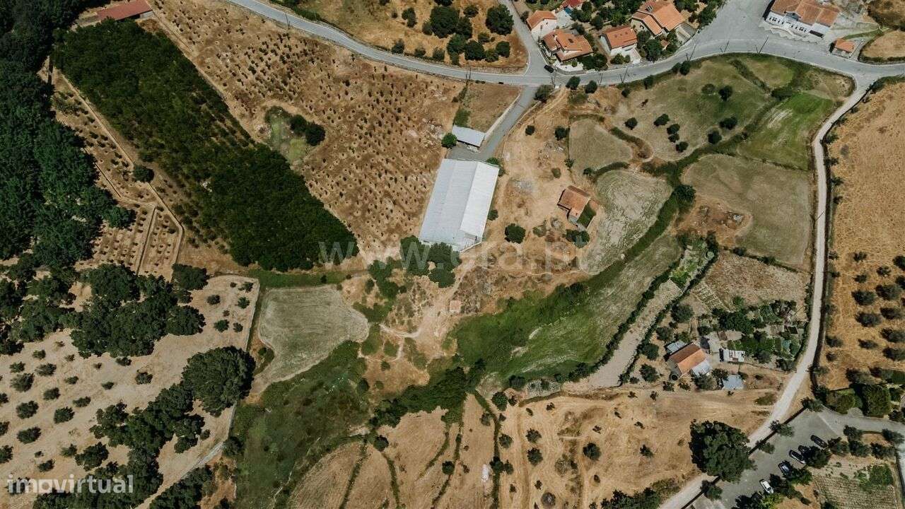 Quinta / Seia, Paranhos - Grande imagem: 3/17