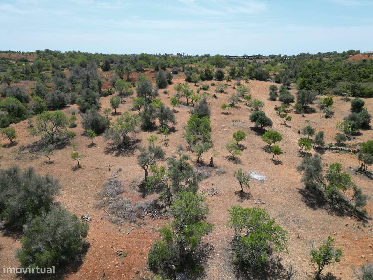 Terreno Rústico com 15000 m2, situado nas Baiãs - Grande imagem: 5/21