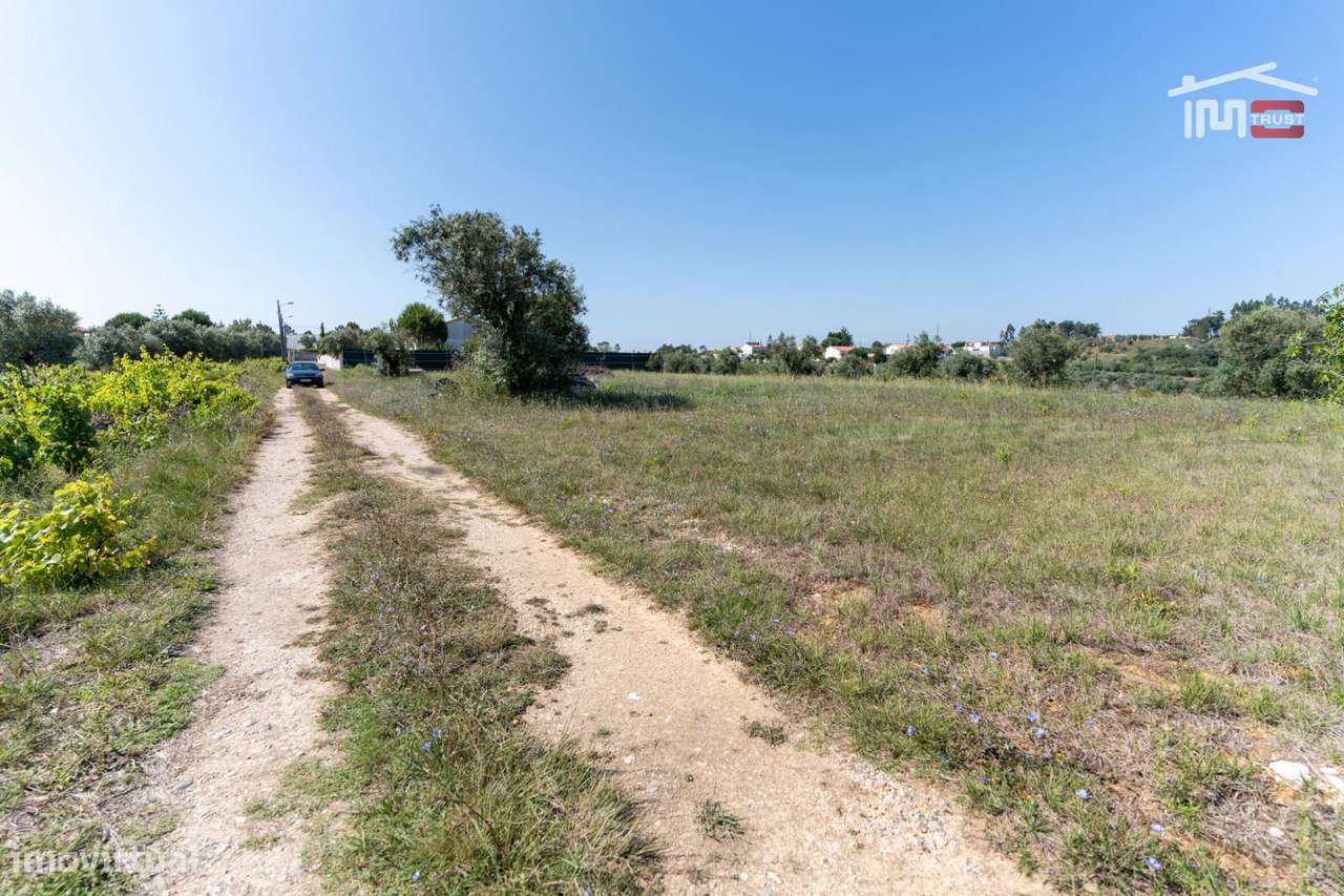 Terreno para construção, Alburitel - Grande imagem: 3/9