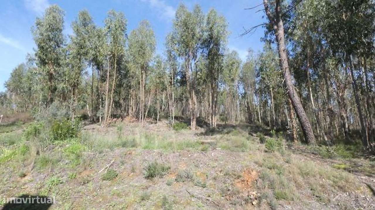 Terreno  para venda - Grande imagem: 5/15