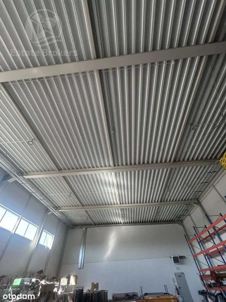 Magazyn 600 m² z częścią biurową - Pełny obrazek: 5/8