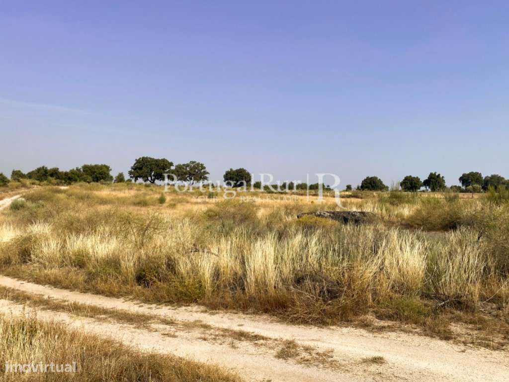 Terreno Rústico em Monsanto - Grande imagem: 3/17