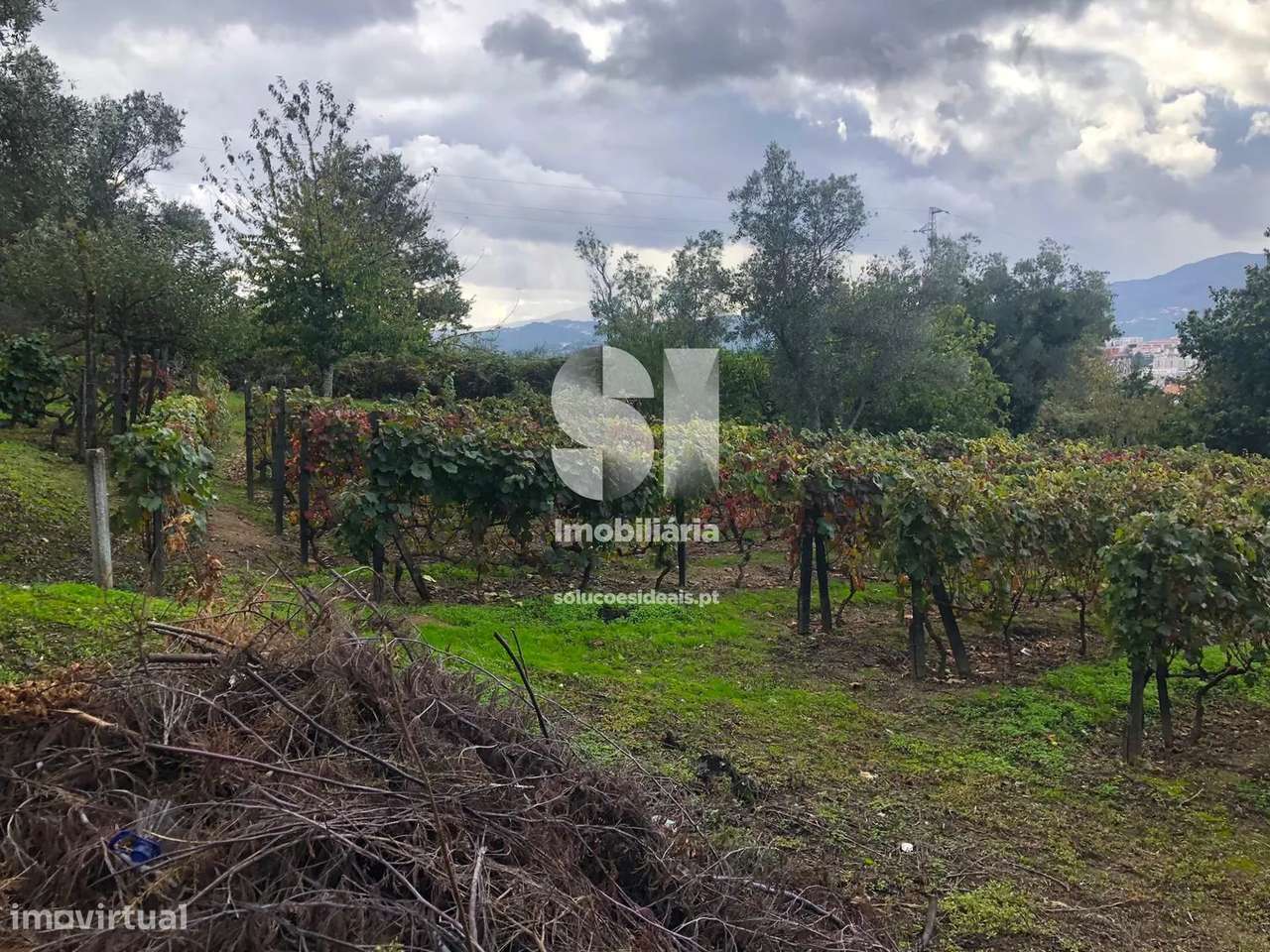 Terreno em Vila real - Grande imagem: 5/27