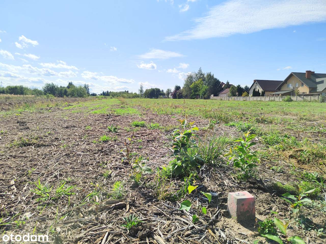 8 działek z warunkami zabudowy, Jedlińsk ul. Łąkowa - Pełny obrazek: 5/8