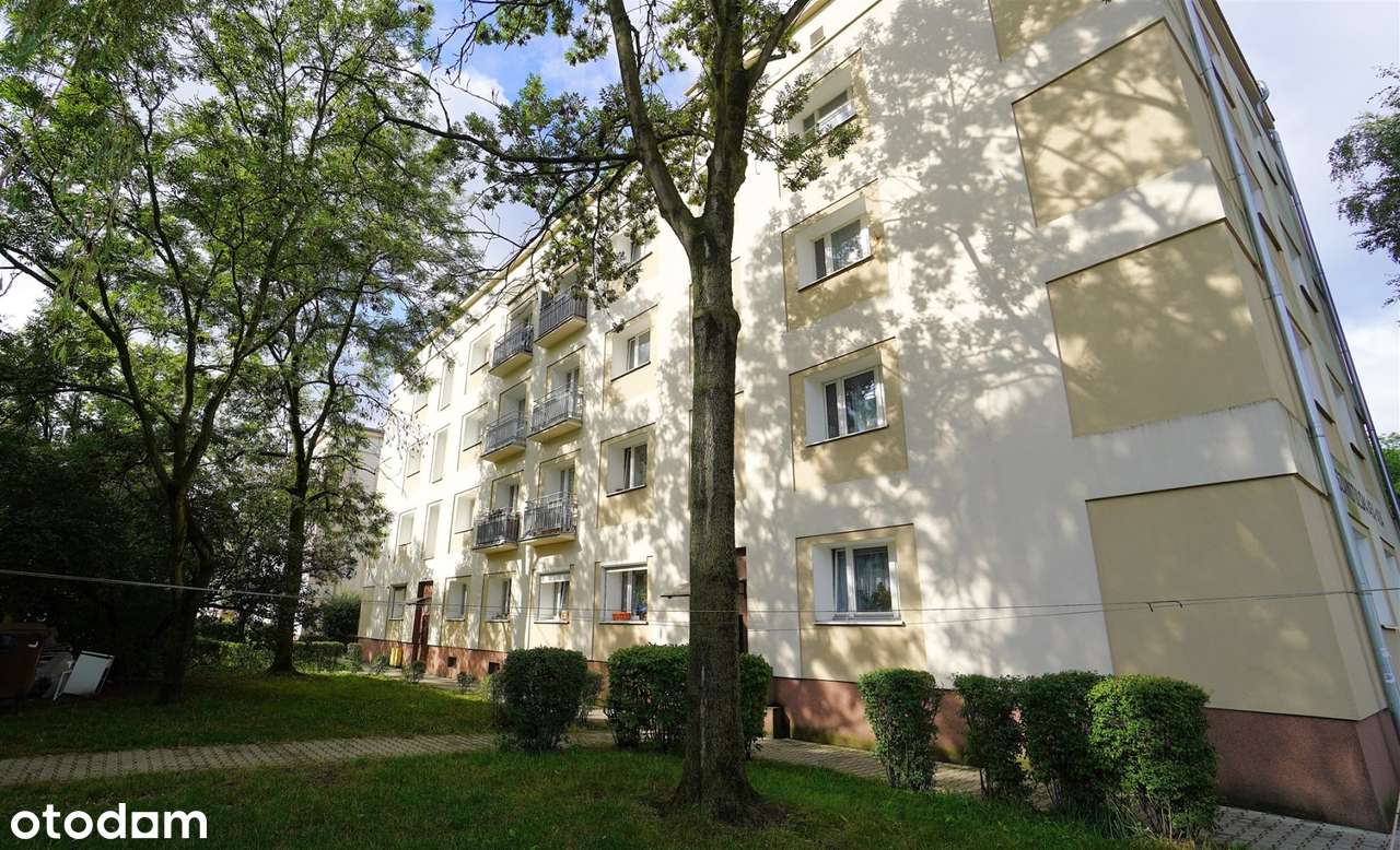 Duża kawalerka na Grunwaldzie