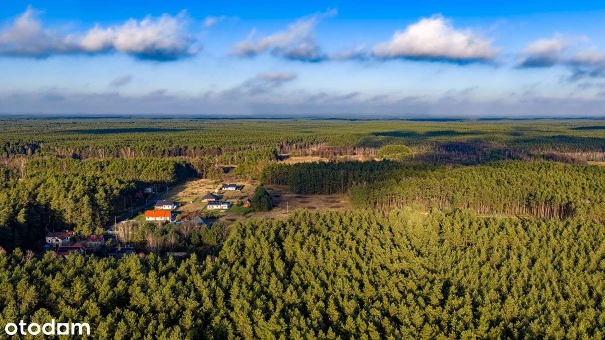 Duża Działka Budowlana Z Prywatnym Lasem-6