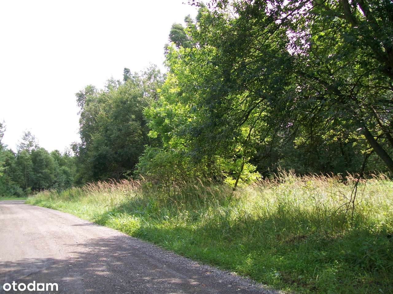 Grodzisko 2050 mkw ,1040 mkw-1