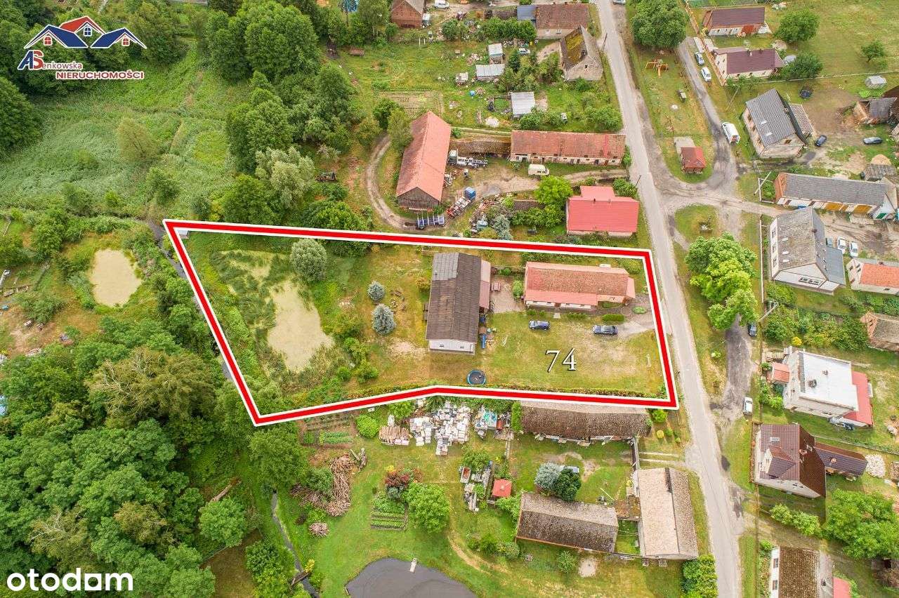 Na sprzedaż agroturystyka obok Krosna Odrzańskiego - Pełny obrazek: 5/15