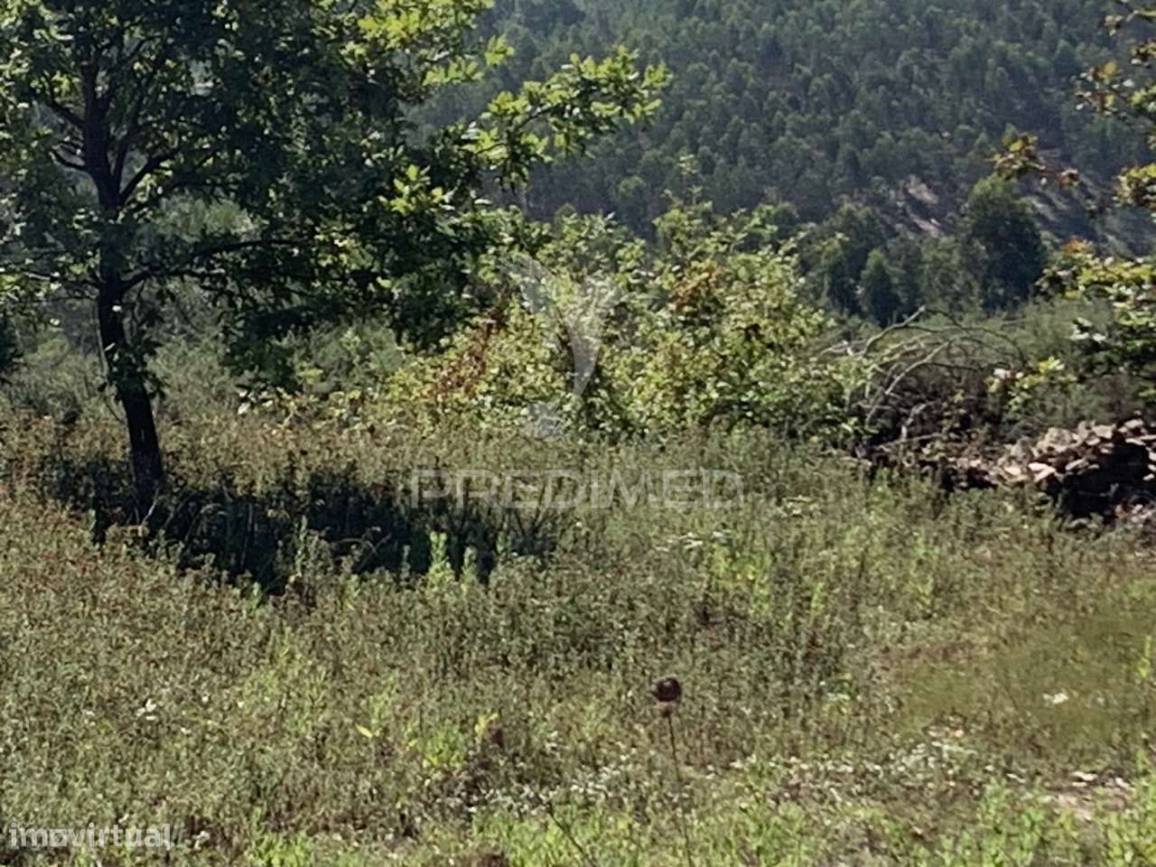 TERRENO PARA CONSTRUÇÃO - Grande imagem: 4/8