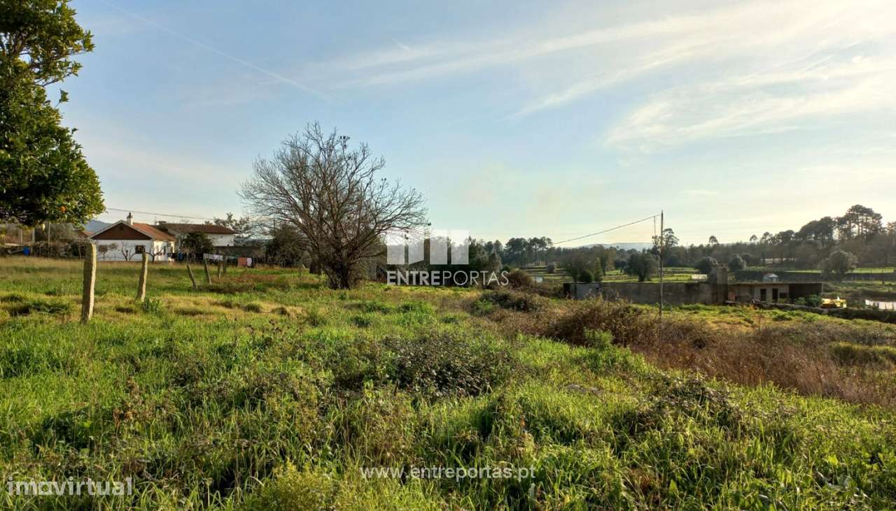 Venda de Terreno, Serreleis, Viana do Castelo - Grande imagem: 4/28