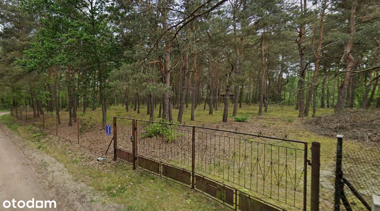 Magdalenów, działka pod budowę domu z MPZP położna w pięknym lesie. - Pełny obrazek: 4/5