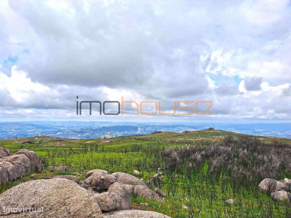 Terreno de 84 hectares-39