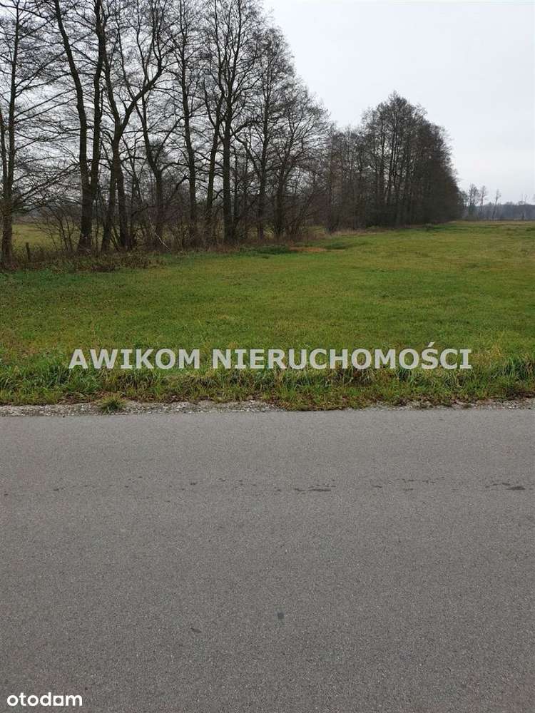 Działka w Kampinoskim Parku Narodowym - Pełny obrazek: 4/7