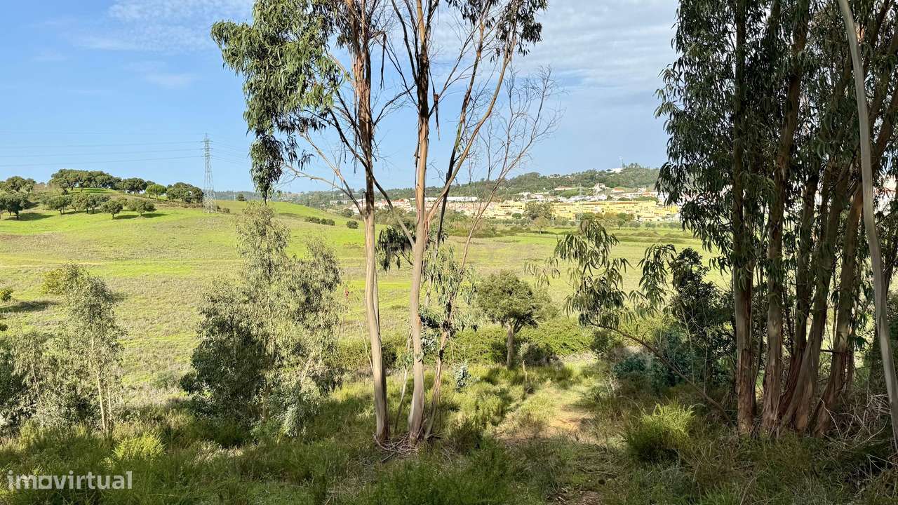 Terreno Rústico na Azambuja. Em Venda! - Grande imagem: 2/7