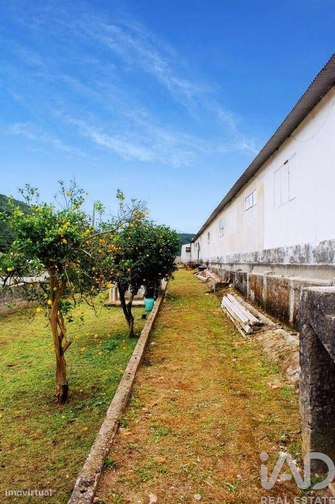 Casa / Villa T5 em Loivo de 646,00 m2 - Grande imagem: 4/30