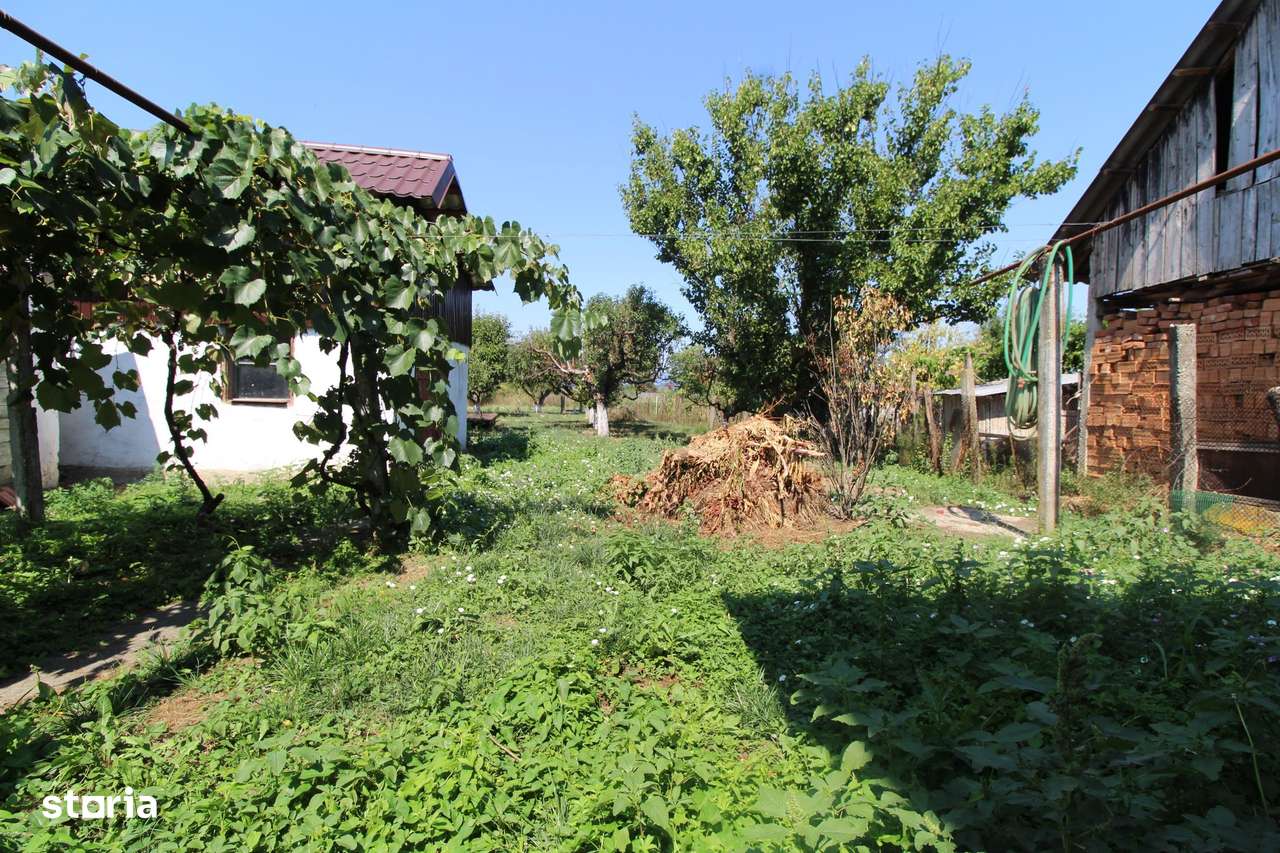 Casă de vânzare – 2 clădiri, teren generos Iași Gorj-14