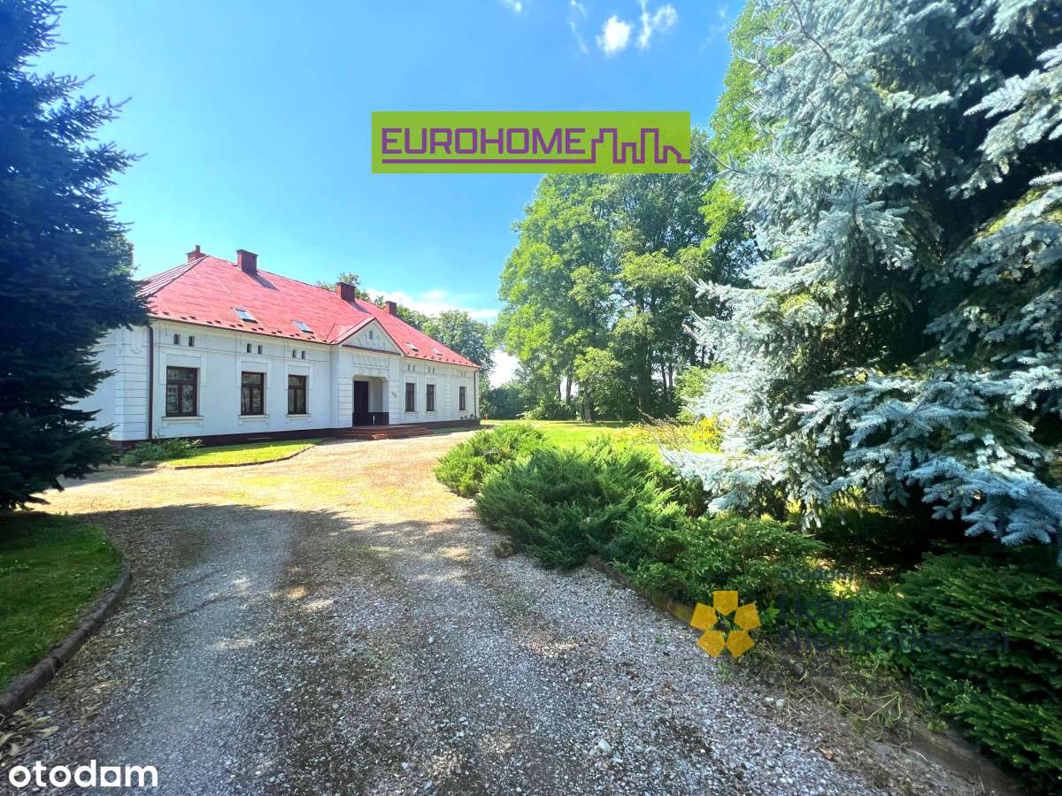 Perełka | Biały Dworek I Chorzelów | - Pełny obrazek: 4/20