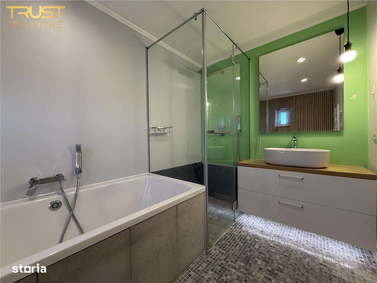 Duplex cu 4 camere l Sub Cetate l 165 MP Curte-5