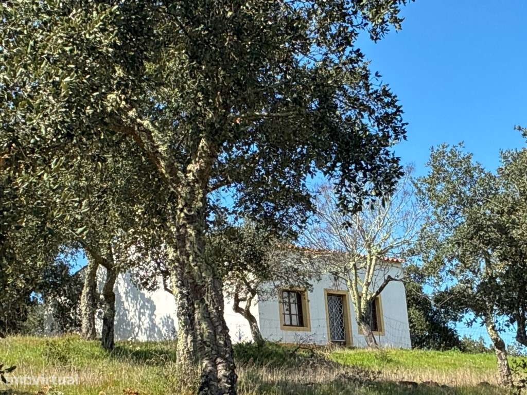 Quinta T2 em Serpa | Vista para a barragem-55