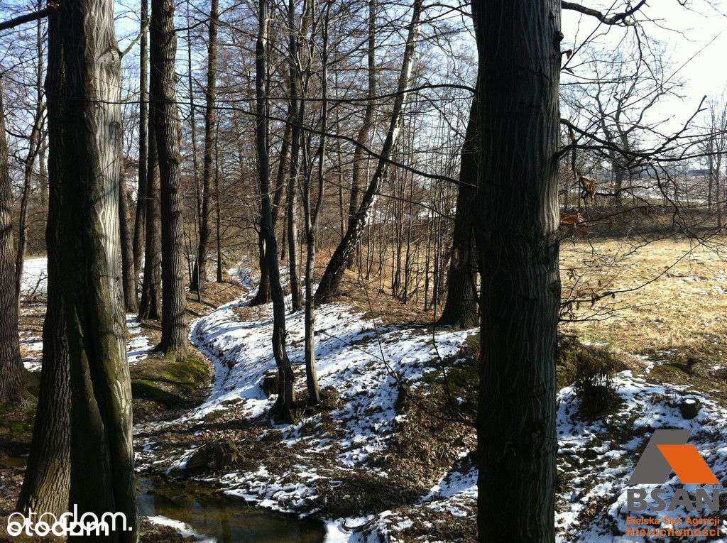 Działka 80 Arów Z Pozwoleniem Na Budowę - Pełny obrazek: 4/7