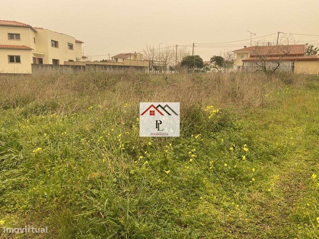 Lote de Terreno para Construção de Moradia - Grande imagem: 4/9